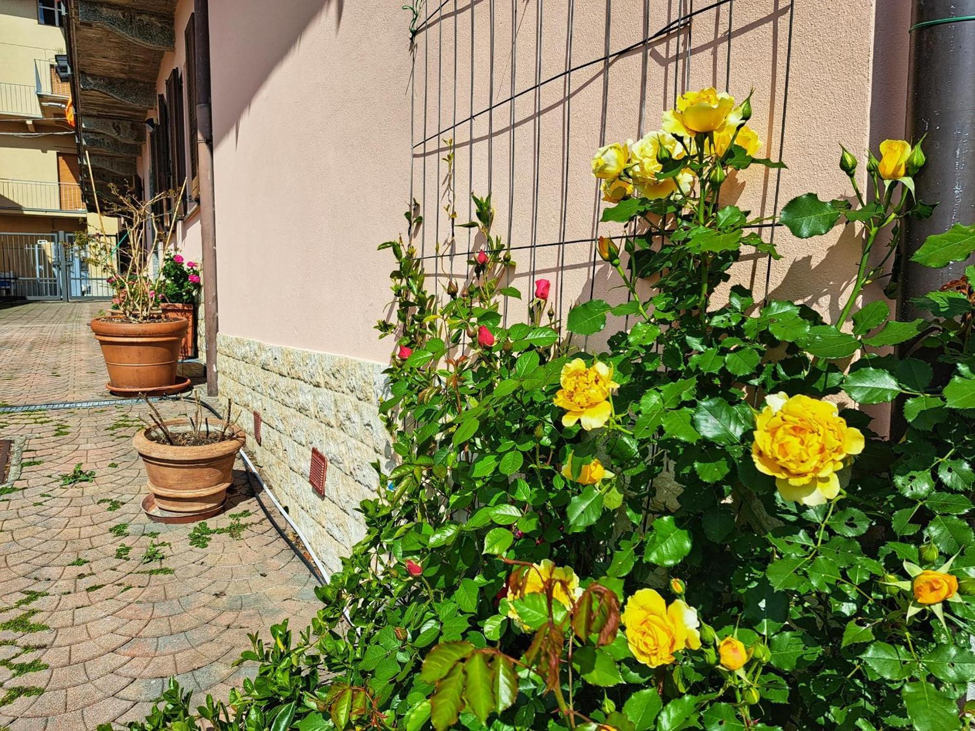 Le Rose Sul Lago 帕斯加特 外观 照片