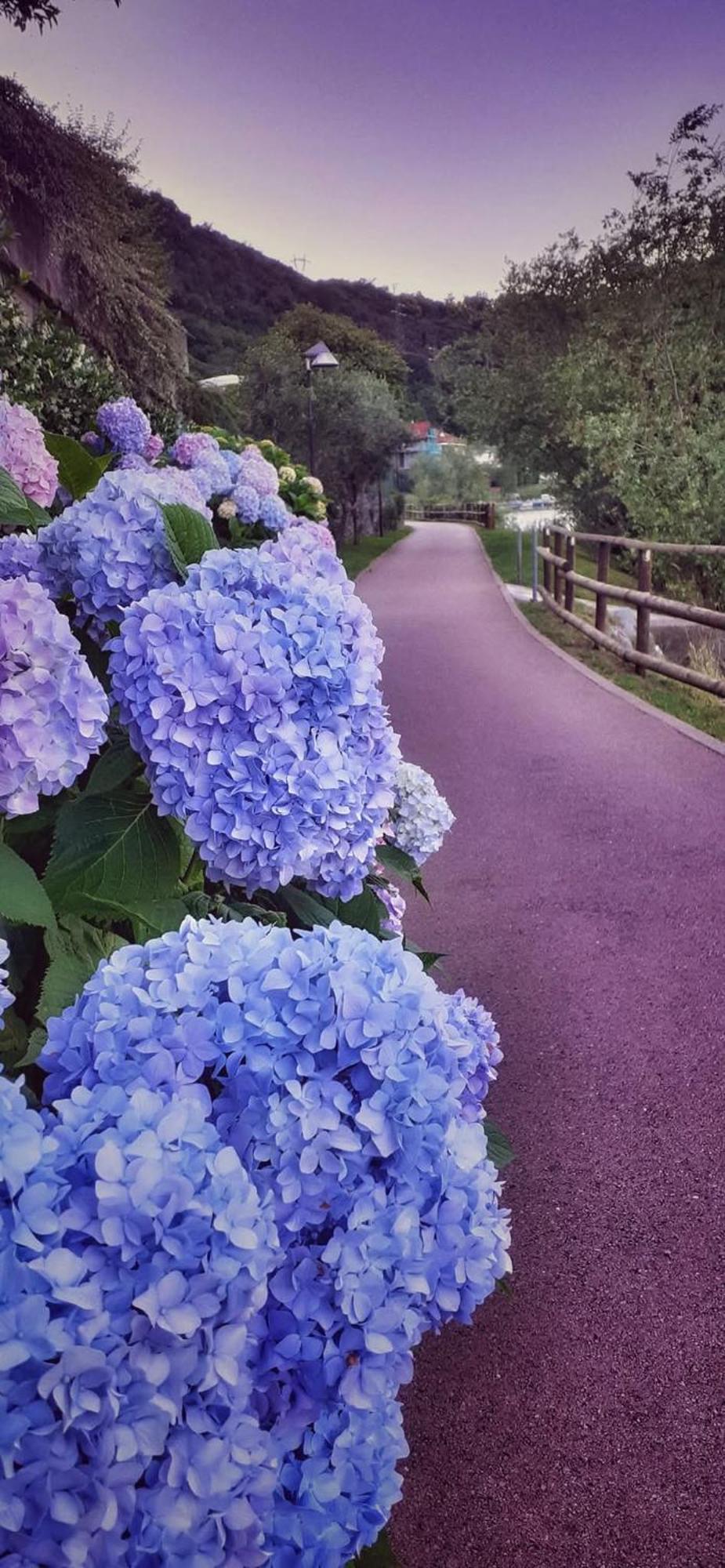 Le Rose Sul Lago 帕斯加特 外观 照片